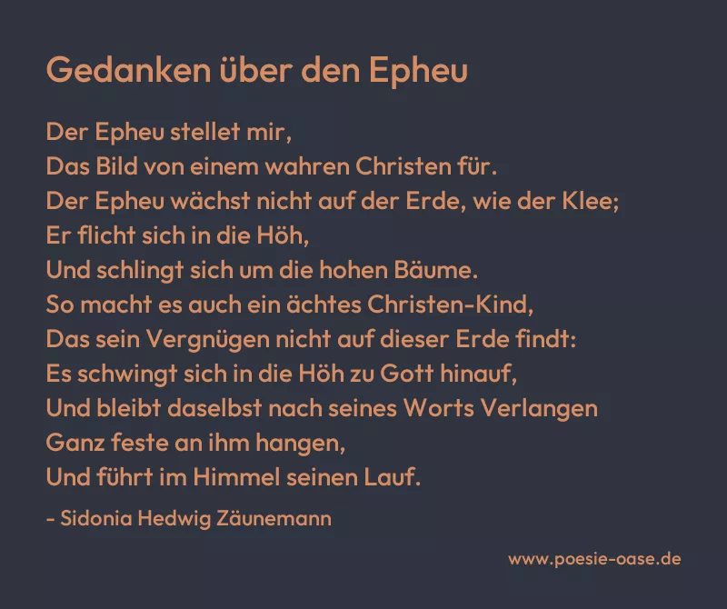Gedicht: Gedanken über den Epheu von Sidonia Hedwig Zäunemann