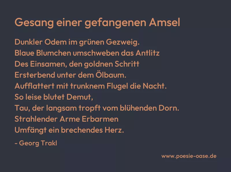Gedicht: Gesang einer gefangenen Amsel von Georg Trakl
