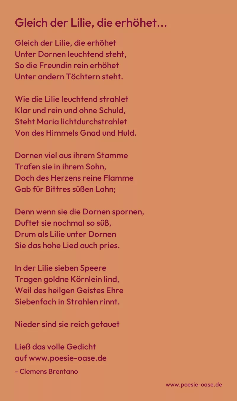 Gedicht: Gleich der Lilie, die erhöhet... von Clemens Brentano