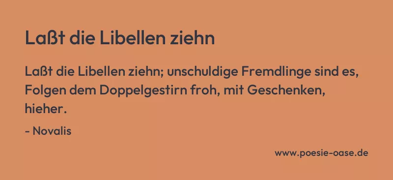 Gedicht: Laßt die Libellen ziehn von Novalis
