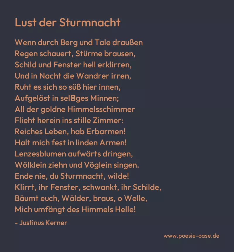 Gedicht: Lust der Sturmnacht von Justinus Kerner