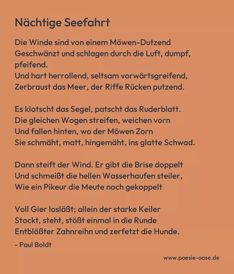Gedicht: Nächtige Seefahrt von Paul Boldt