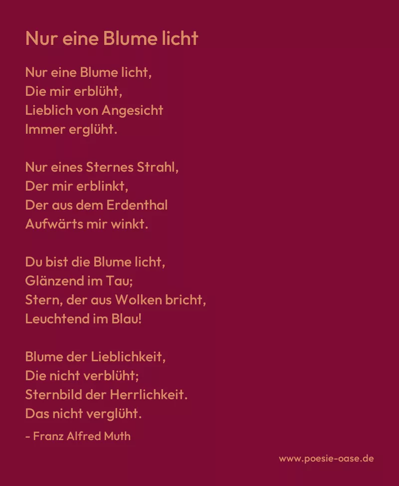 Gedicht: Nur eine Blume licht von Franz Alfred Muth