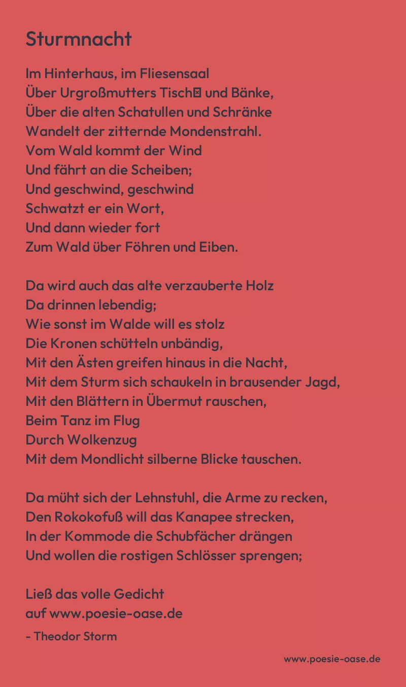 Gedicht: Sturmnacht von Theodor Storm
