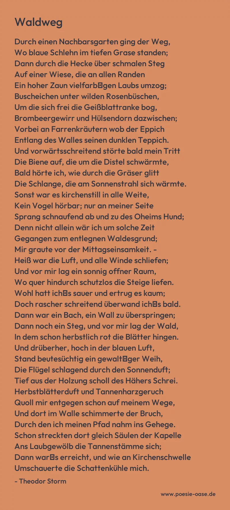 Gedicht: Waldweg von Theodor Storm
