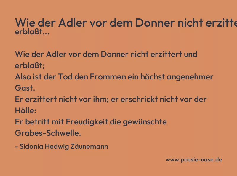 Gedicht: Wie der Adler vor dem Donner nicht erzittert und erblaßt... von Sidonia Hedwig Zäunemann