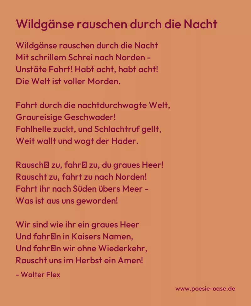 Gedicht: Wildgänse rauschen durch die Nacht von Walter Flex